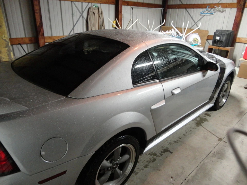 DSC00224.webp