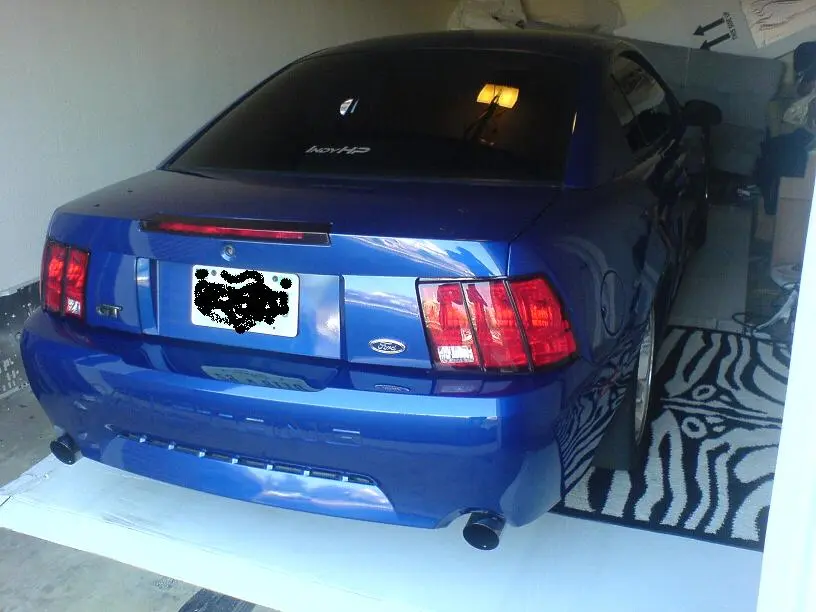 DSC00224.webp