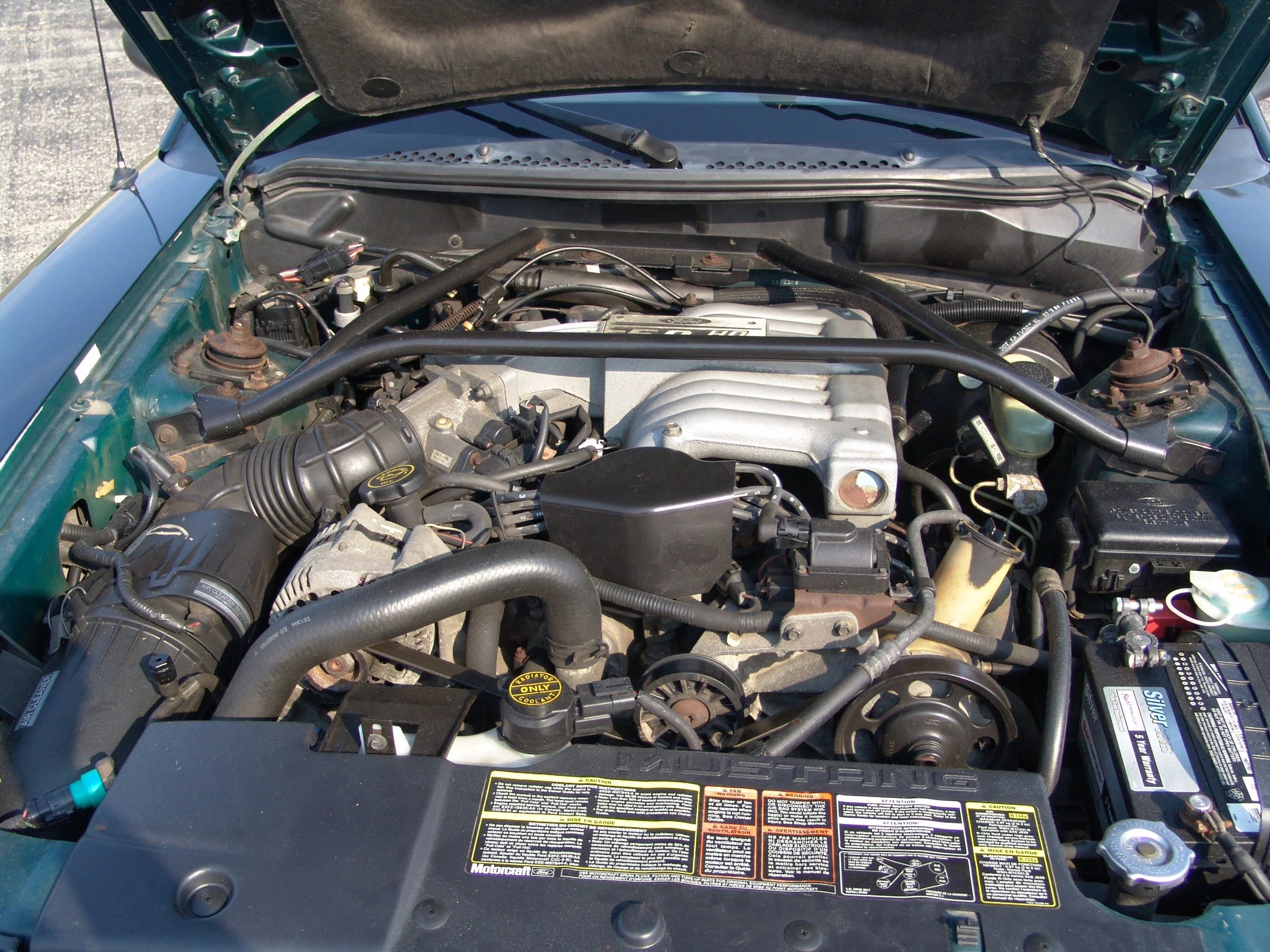 DSC00227.webp