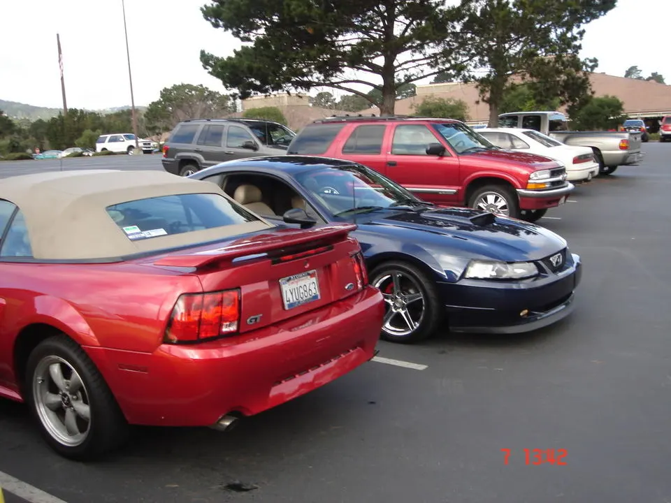 DSC00245.webp