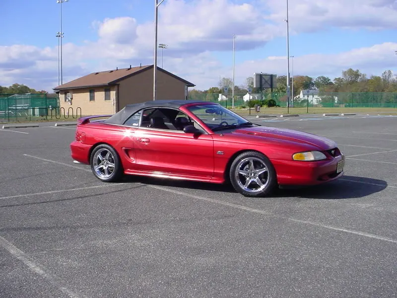 DSC00261.webp