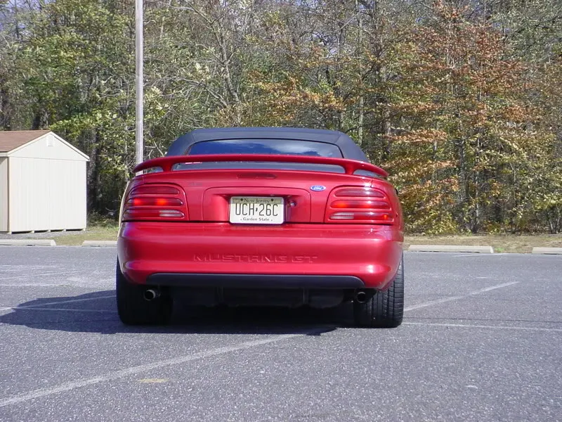 DSC00262.webp