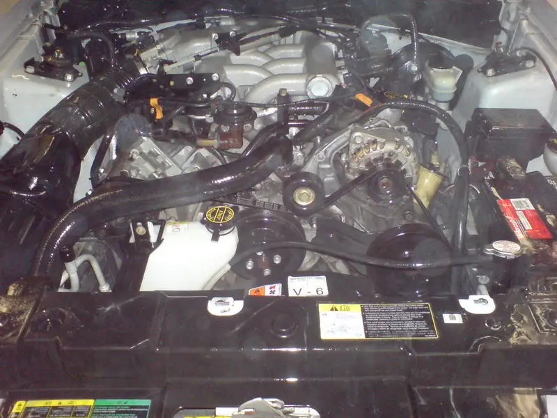DSC00278.webp