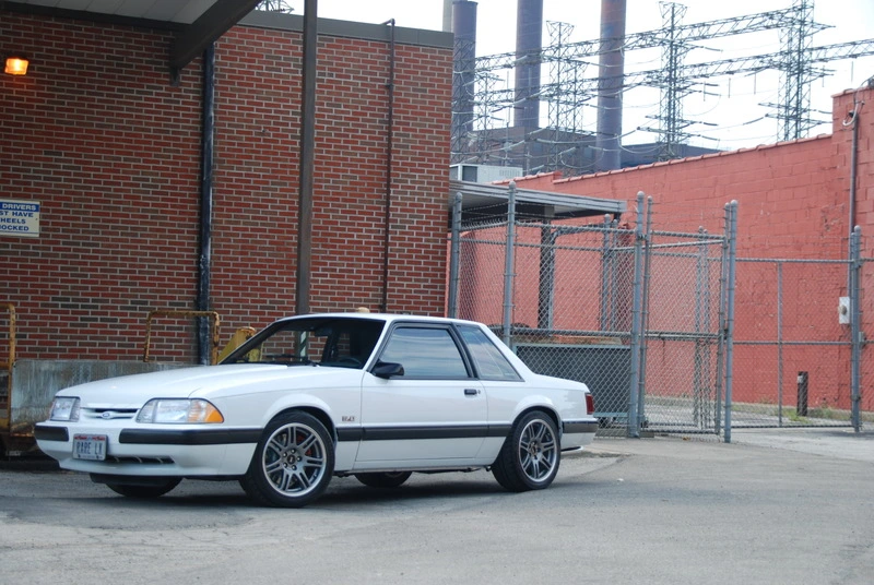 dsc0028rfx.webp