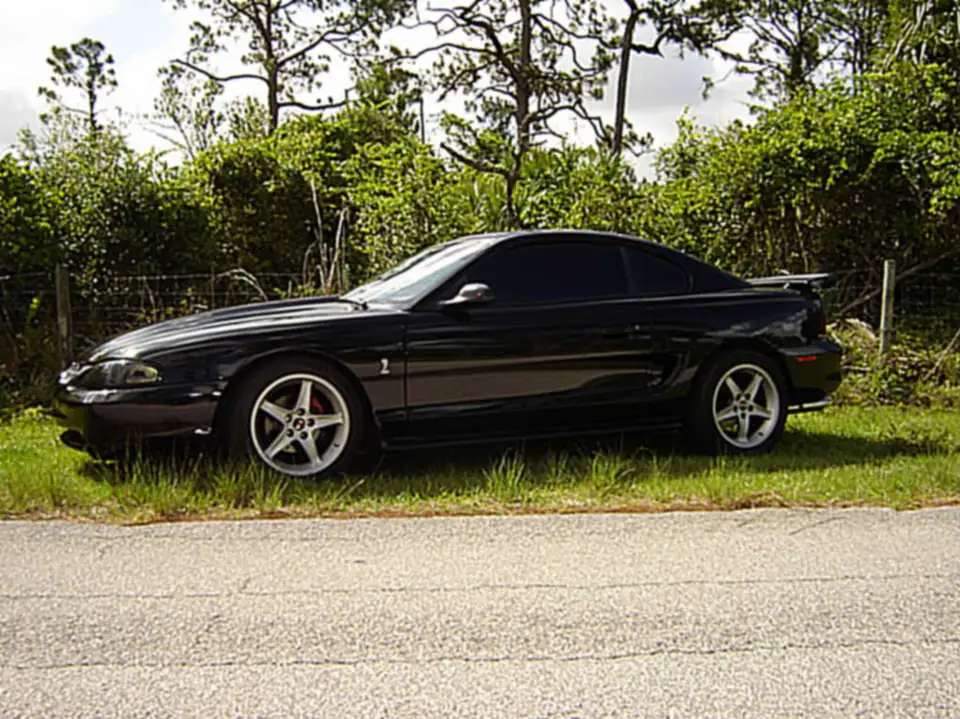 DSC00294.webp