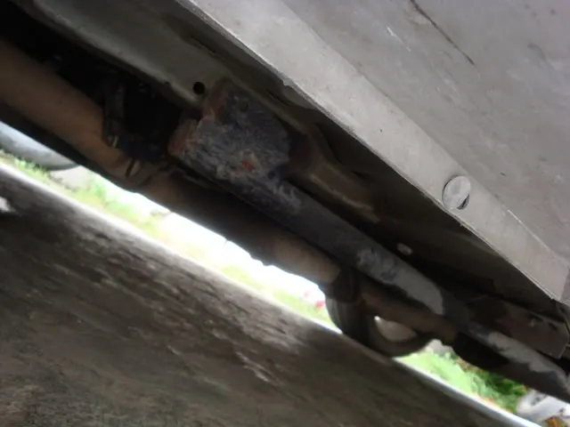DSC00329.webp