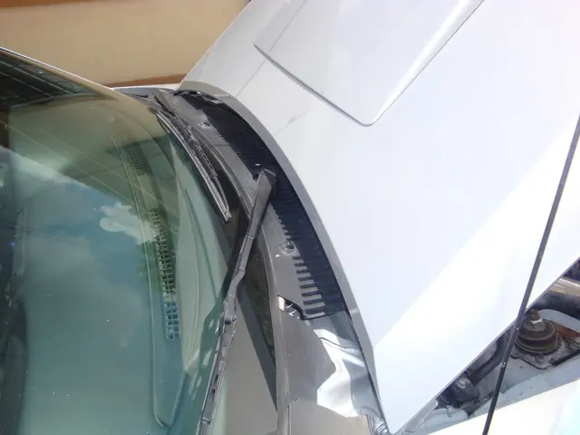 DSC00331.webp