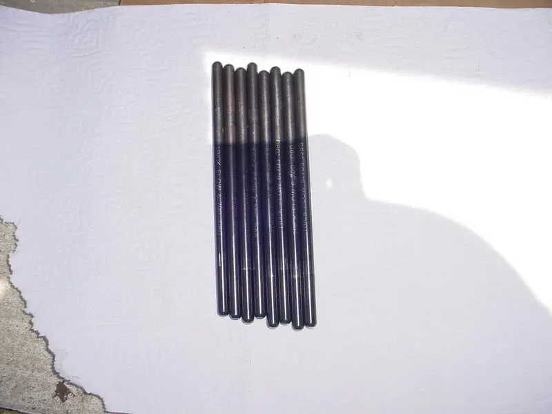 DSC00415.webp