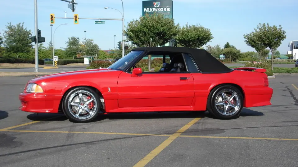 DSC00421_001.webp