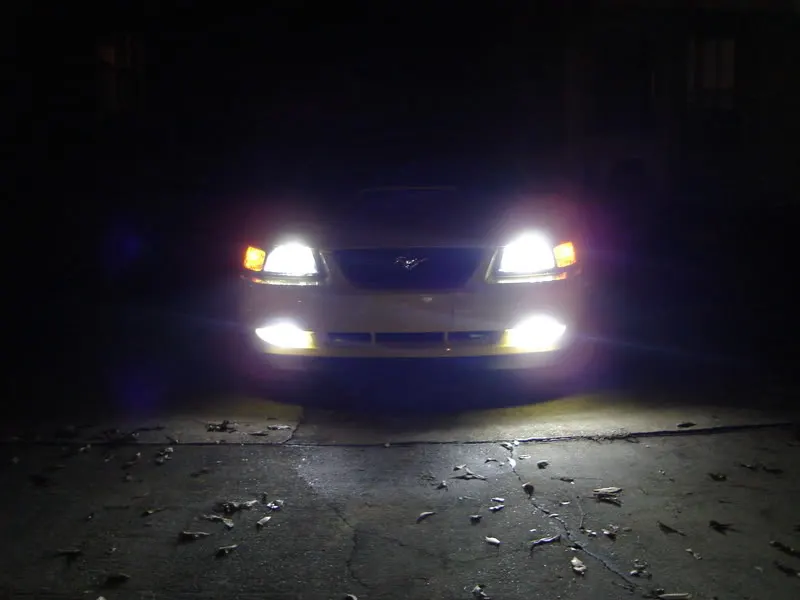 DSC00429.webp