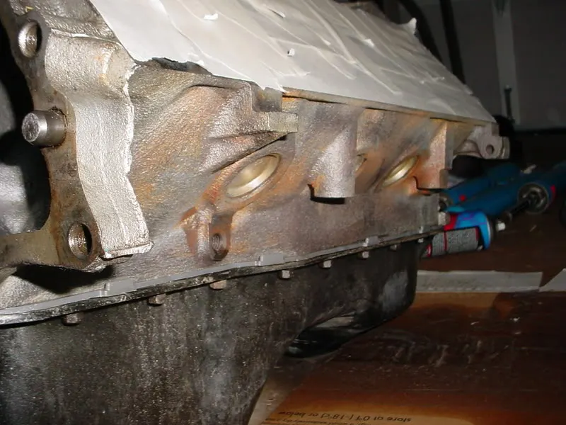 DSC00429.webp