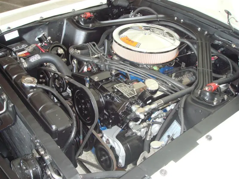 DSC00473%20(Medium).webp