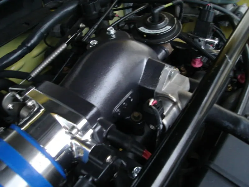 DSC00477.webp