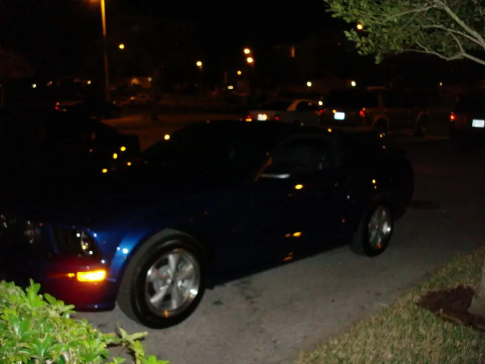 DSC00522.webp