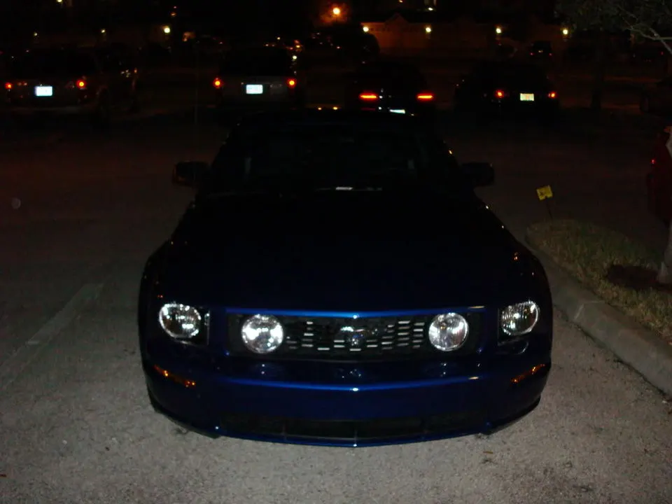 DSC00523.webp