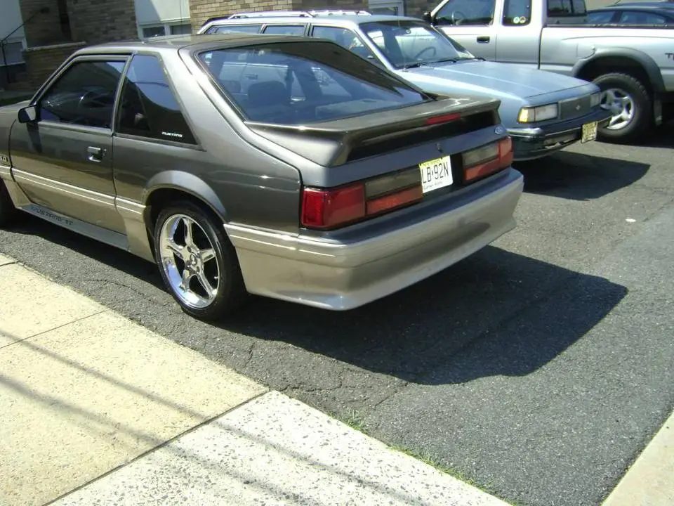 DSC00524.webp