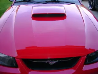 DSC00541.webp