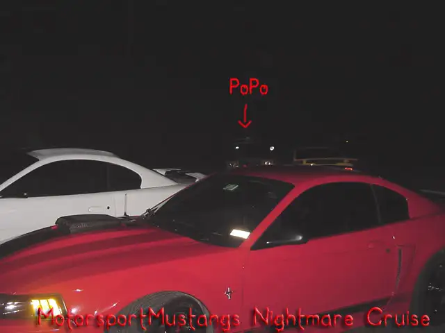 DSC00569.webp