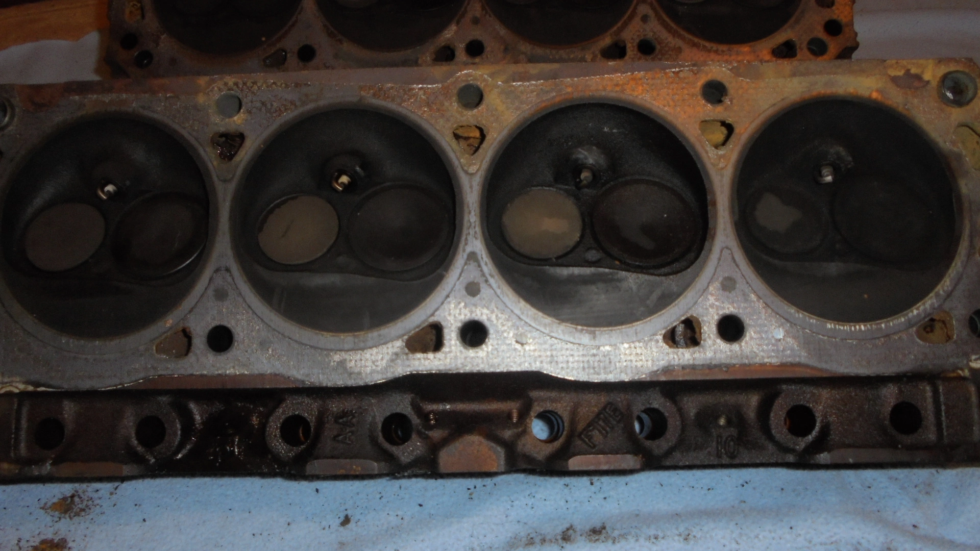 DSC00585.webp