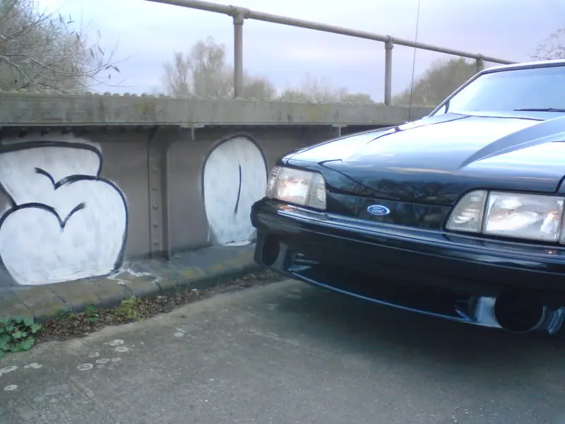 DSC00610-1.webp