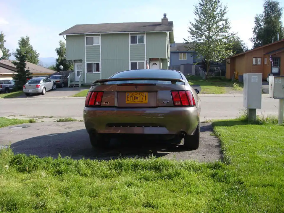 DSC00628-1.webp
