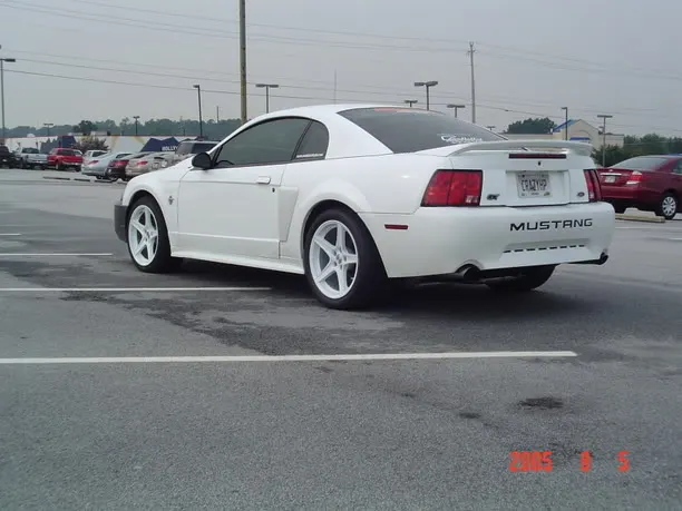 DSC00639.webp