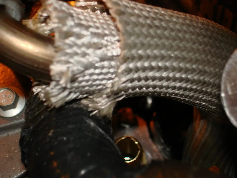 DSC00667.webp