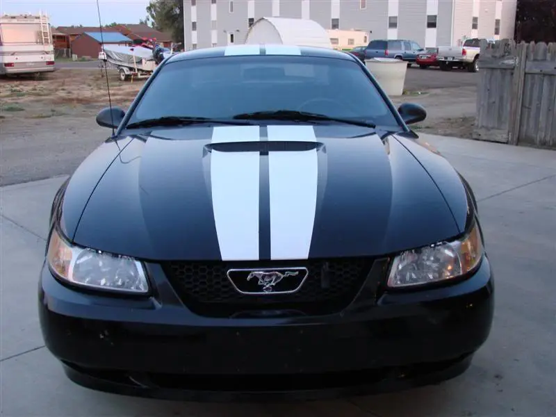 DSC00683Medium.webp