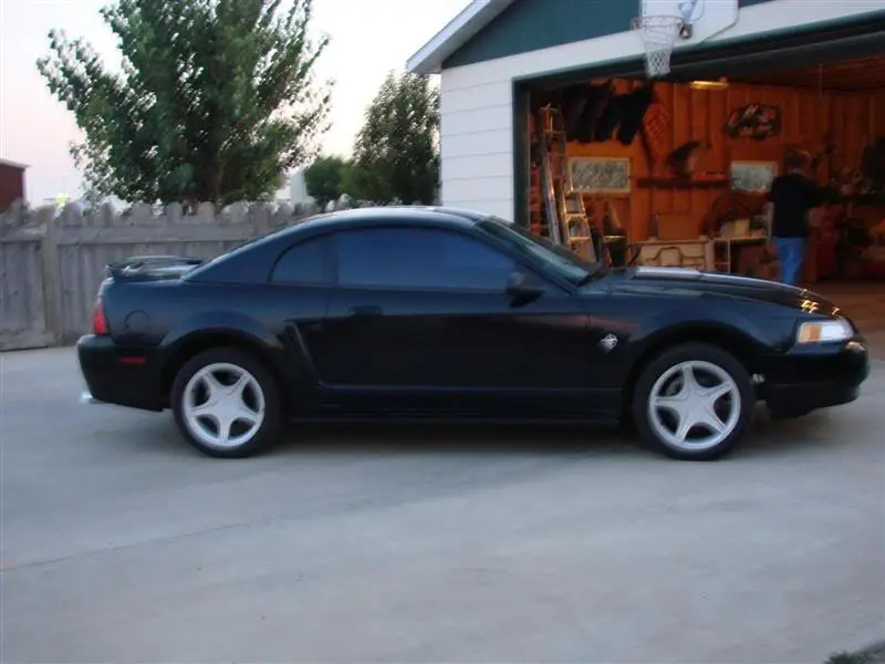 DSC00684Medium.webp