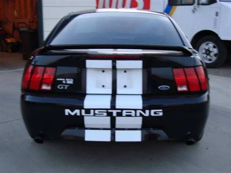 DSC00686Medium.webp