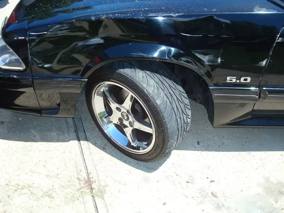 DSC00697.webp