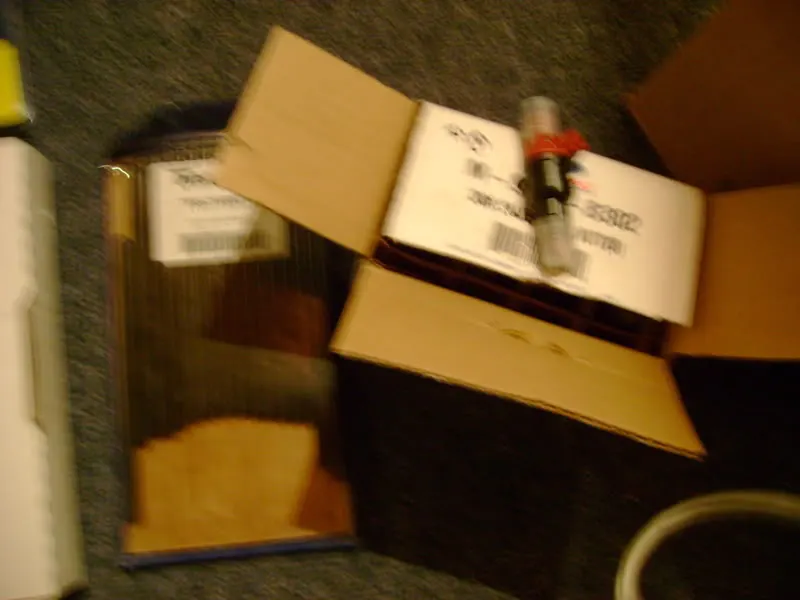 DSC00732.webp