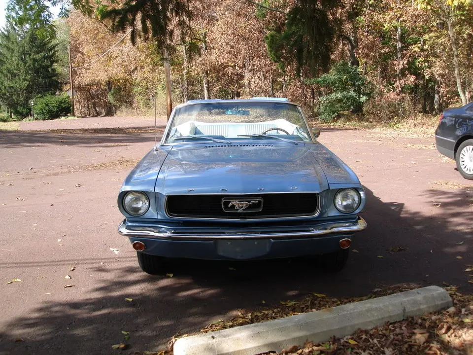 DSC00766.webp
