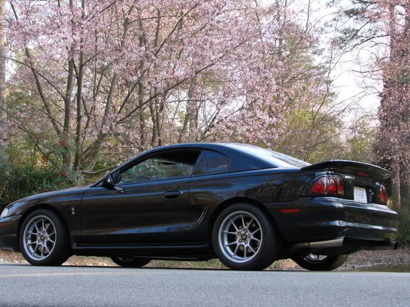 DSC00769.webp