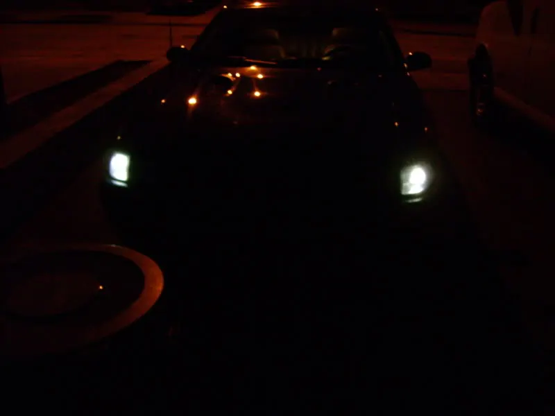 DSC00774.webp