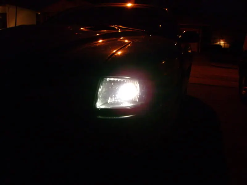 DSC00775.webp