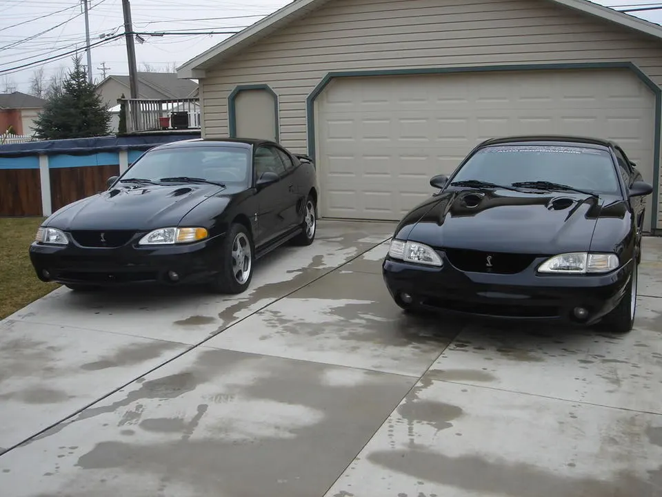 DSC00825.webp