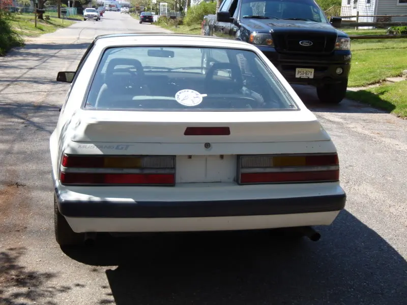 DSC00849.webp