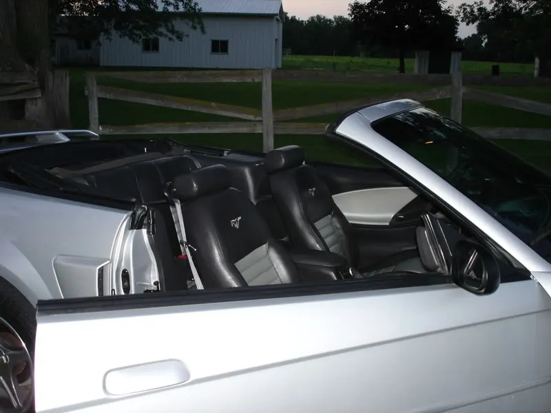 DSC00916.webp