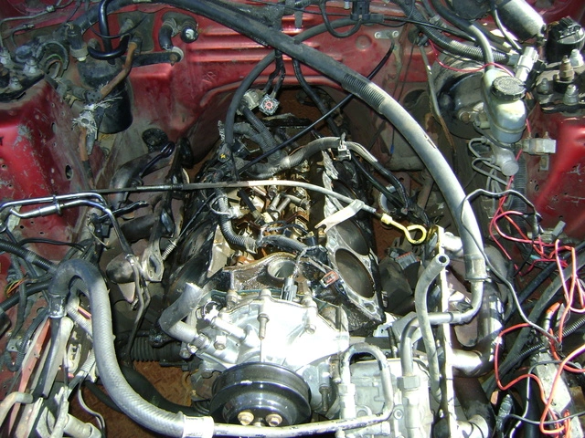dsc00920z.webp