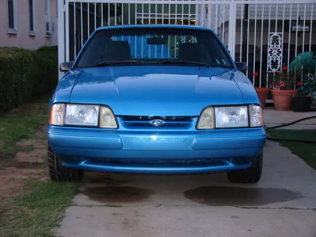 DSC00952.webp