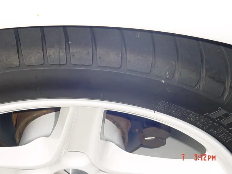 DSC00956.webp
