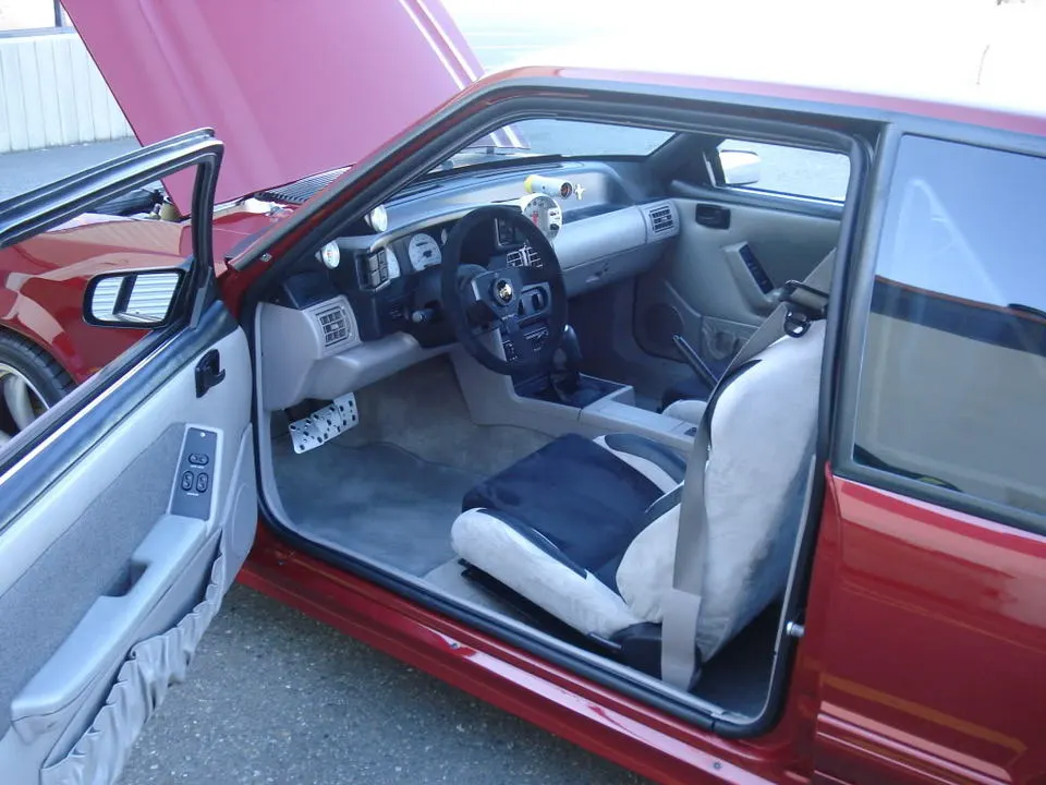 DSC00965.webp