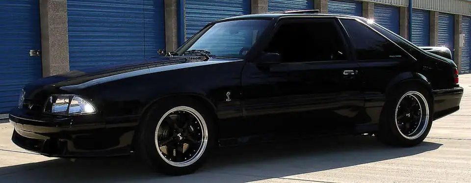 DSC00974_edited.webp