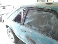 DSC00975.th.webp