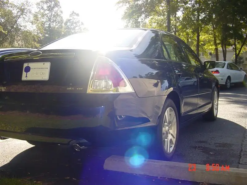 DSC01017Medium.webp