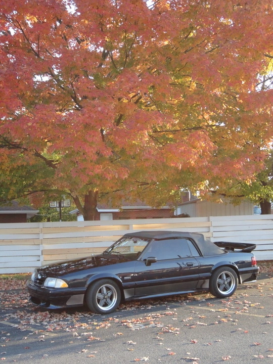 DSC01021.webp