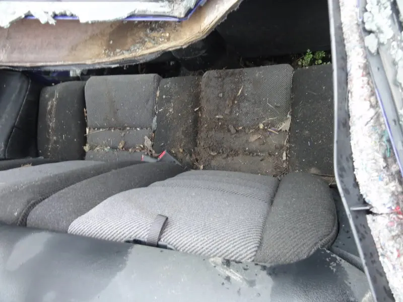 DSC01024.webp