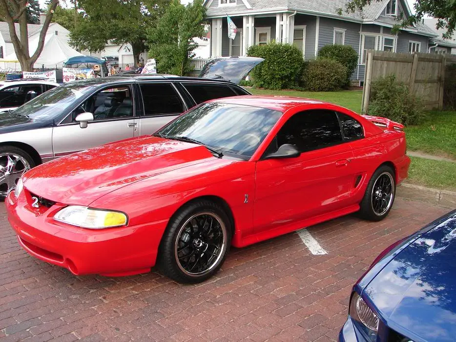 DSC01161.webp