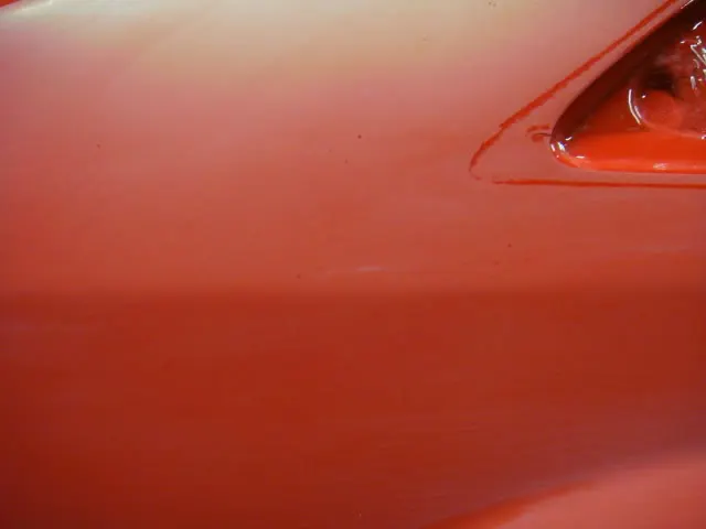 DSC01198.webp